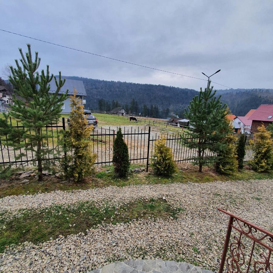 Chalet 888 Cottages Palyanytsya Exterior foto
