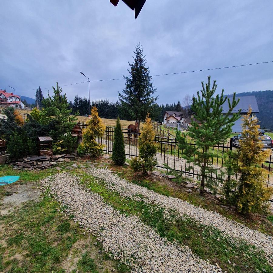 Chalet 888 Cottages Palyanytsya Exterior foto