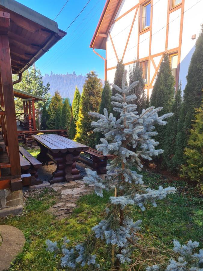 Chalet 888 Cottages Palyanytsya Exterior foto